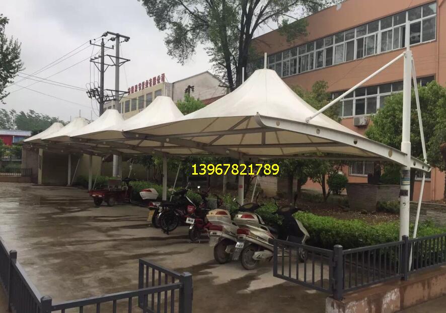 ����ͣ܇��